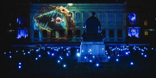 En voie d'illumination, partez à la découverte des lumières émises par la nature