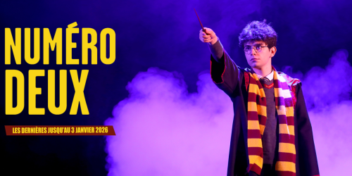 Numéro Deux, d'après le roman de David Foenkinos, rythmé, amusant et intéressant ! 