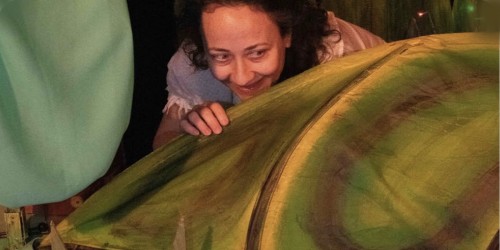 Le Pays des fleurs, un univers musical, poétique et coloré où tous les sens s'éveillent… 